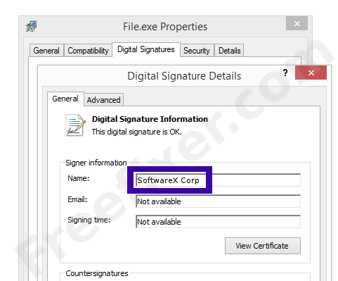 Screenshot of the SoftwareX Corp certificate